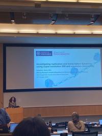 A woman with brown curly hair stands at the front of a lecture theatre. The screen behind her reads "Investigating replication and transcription dynamics using super-resolution SIM and expansion microscopy."