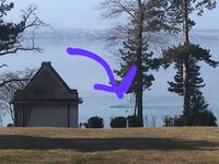 An arrow pointing to where Nina is swimming in Lac Leman